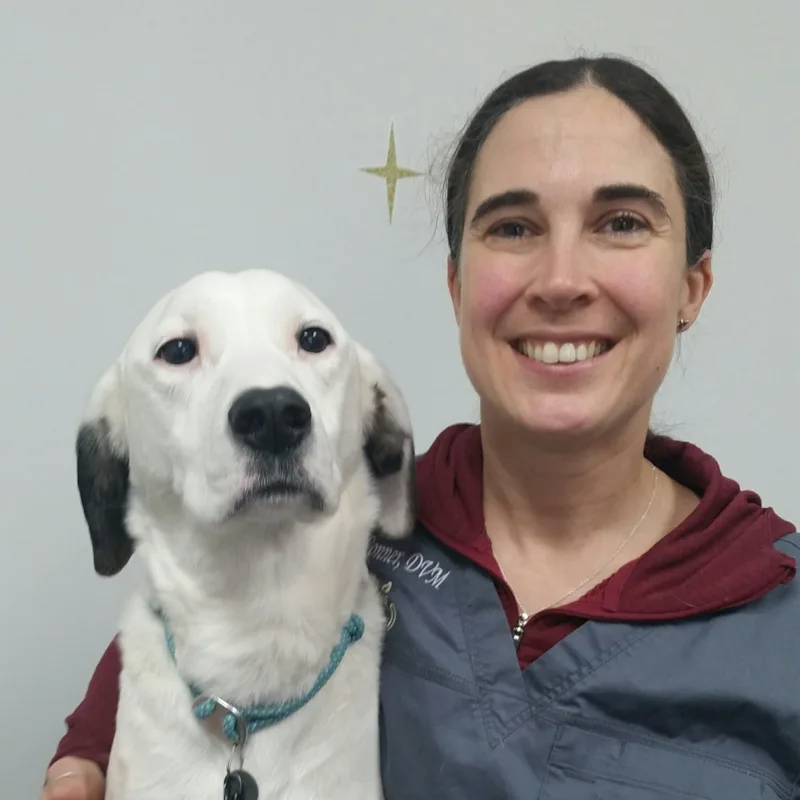 Seven Bends Veterinary Hospital Dr. Conner Seven Bends Veterinary Hospital Dr. Conner