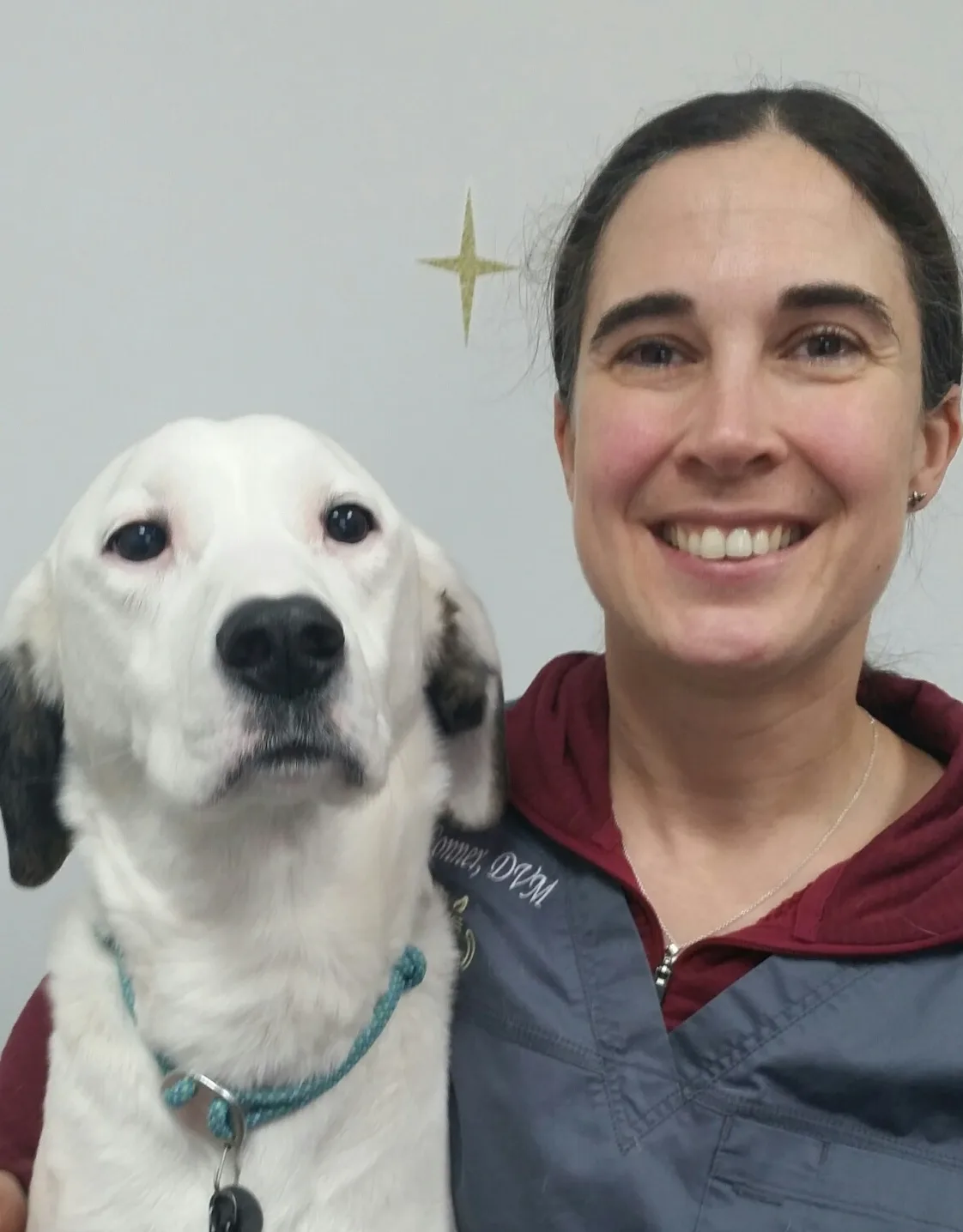 Seven Bends Veterinary Hospital Dr. Conner Seven Bends Veterinary Hospital Dr. Conner