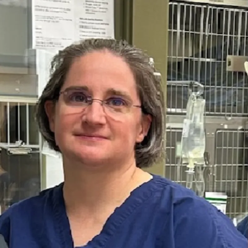 Dr. Cristina Lee Dr. Cristina Lee