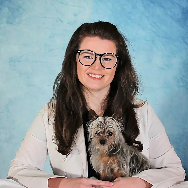 Dr. Navarro Dr. Navarro