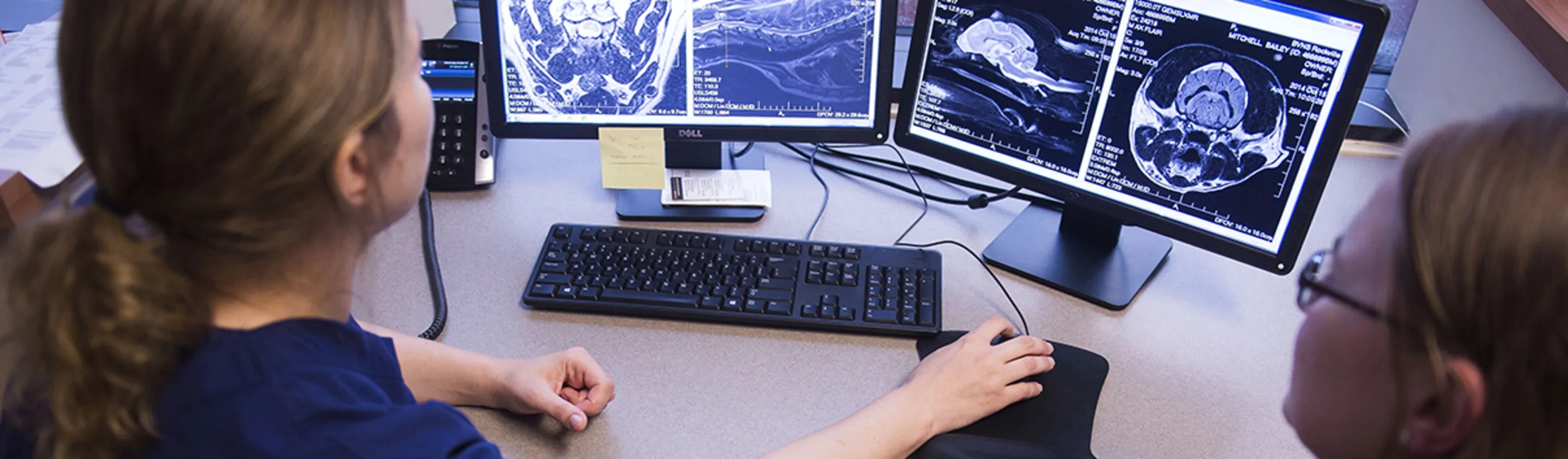 Doctors looking at x-ray images. Doctors looking at x-ray images.