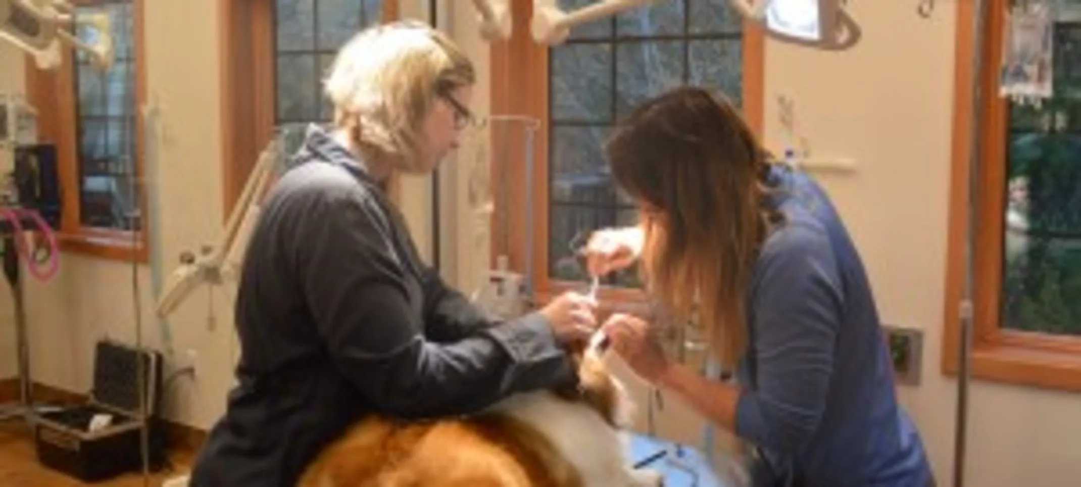 Surgical Suite Surgical Suite