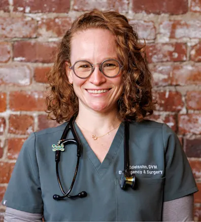 Sierra Edelsohn Sierra Edelsohn