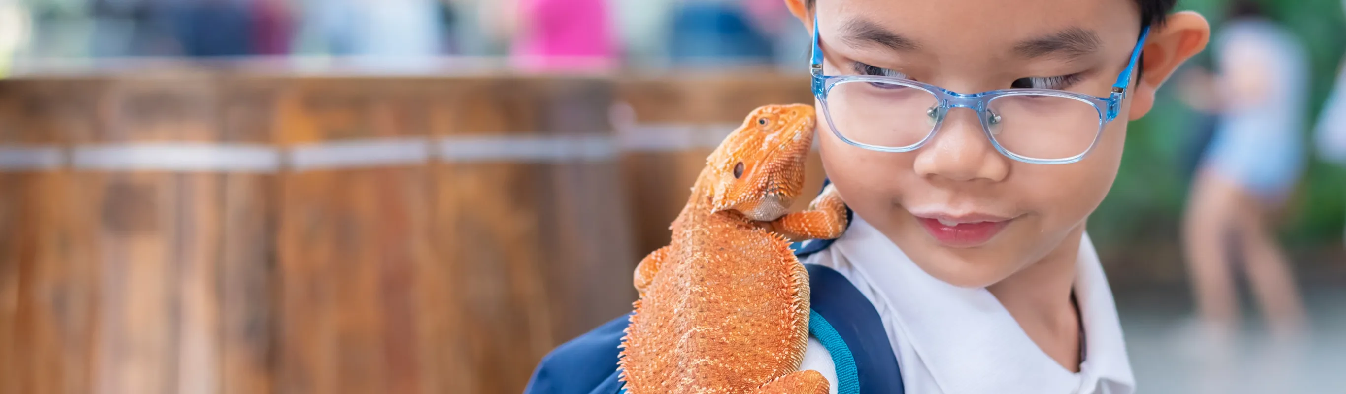 Child with an orange lizard on his shoulder
