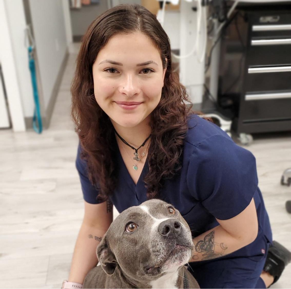 Marina Westview Veterinary Services