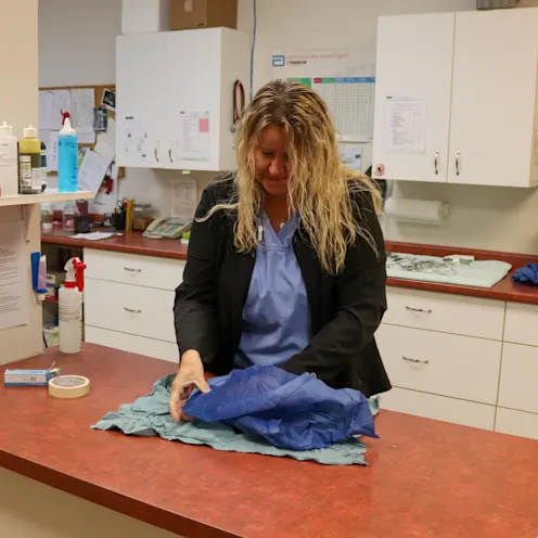 AG Wrapping Packs AG Wrapping Packs