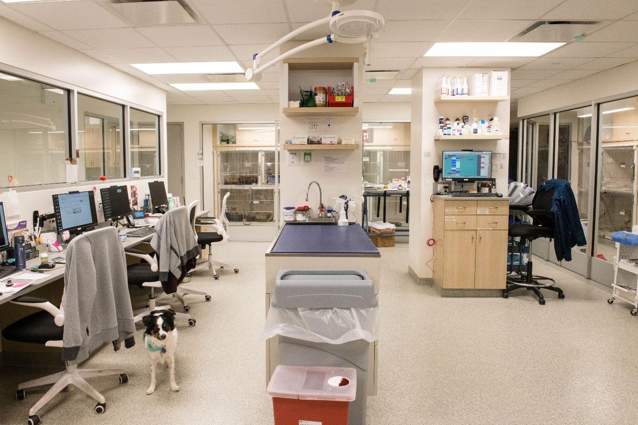 Treatment room downstairs.