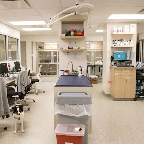 Treatment room downstairs. Treatment room downstairs.