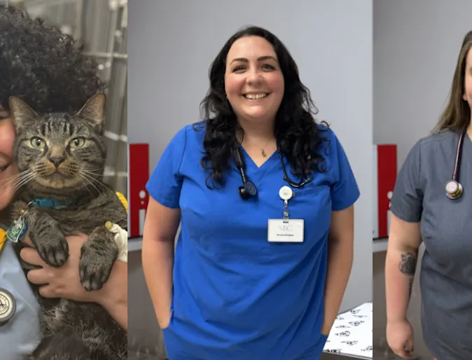 Dr. Nodder, Dr. Lozado, and Dr. Nielsen Dr. Nodder, Dr. Lozado, and Dr. Nielsen