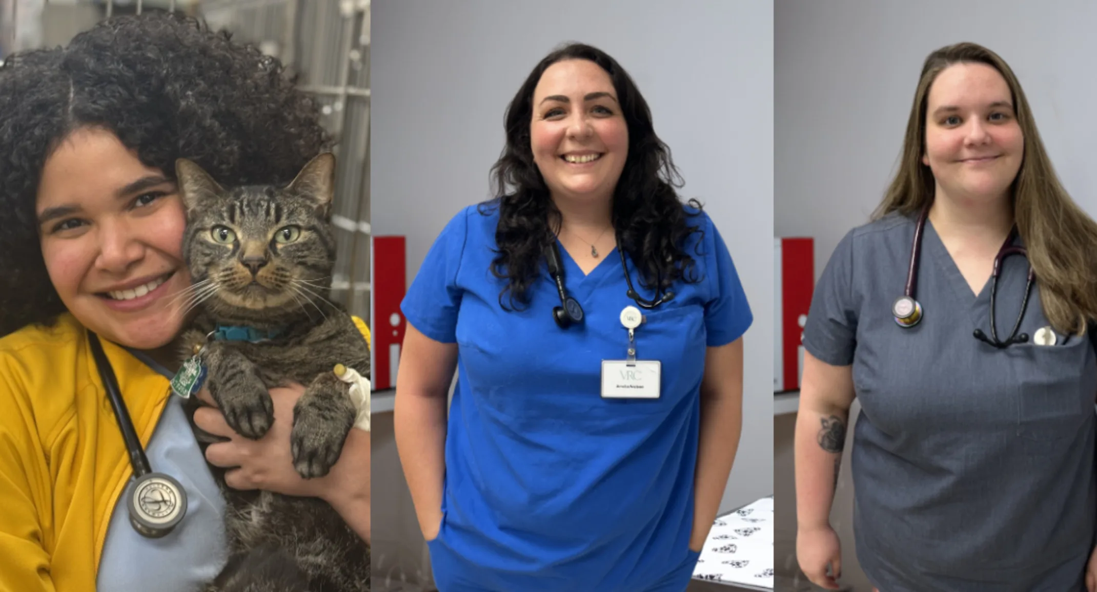 Dr. Nodder, Dr. Lozado, and Dr. Nielsen Dr. Nodder, Dr. Lozado, and Dr. Nielsen