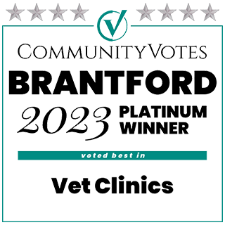 Brantford 2023 Platinum Winner Logo