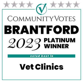 Brantford 2023 Platinum Winner Logo