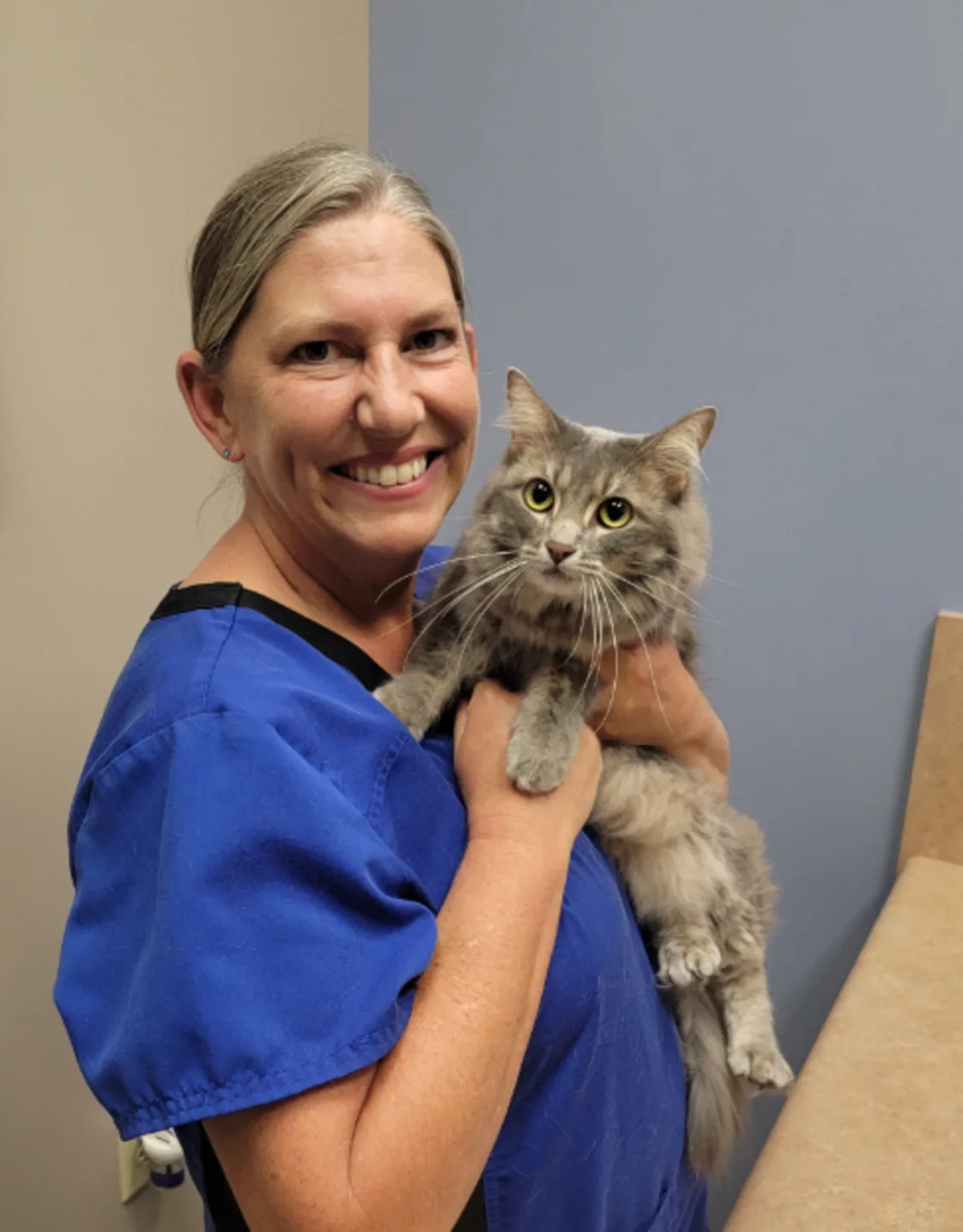 Trish Reidenbach holding a brindle gray cat Trish Reidenbach holding a brindle gray cat