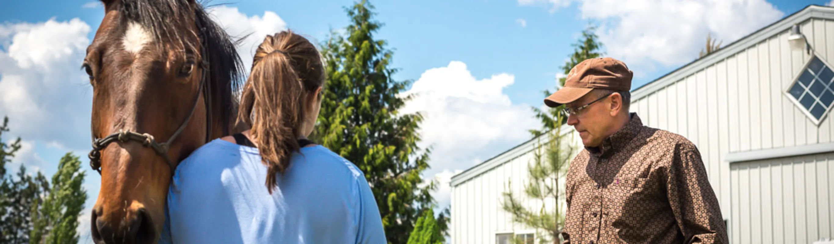 woman and man next to horse woman and man next to horse