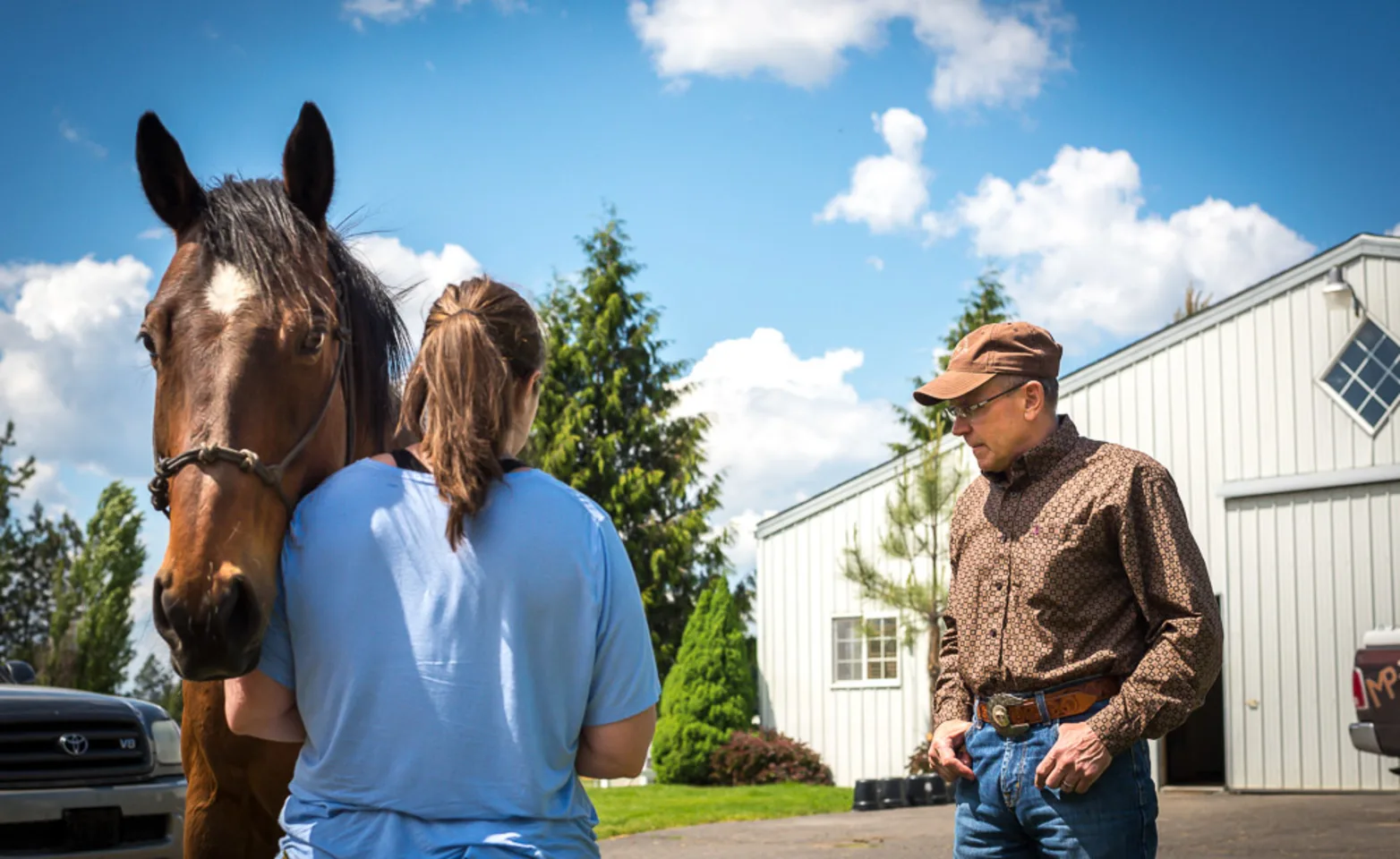 woman and man next to horse woman and man next to horse