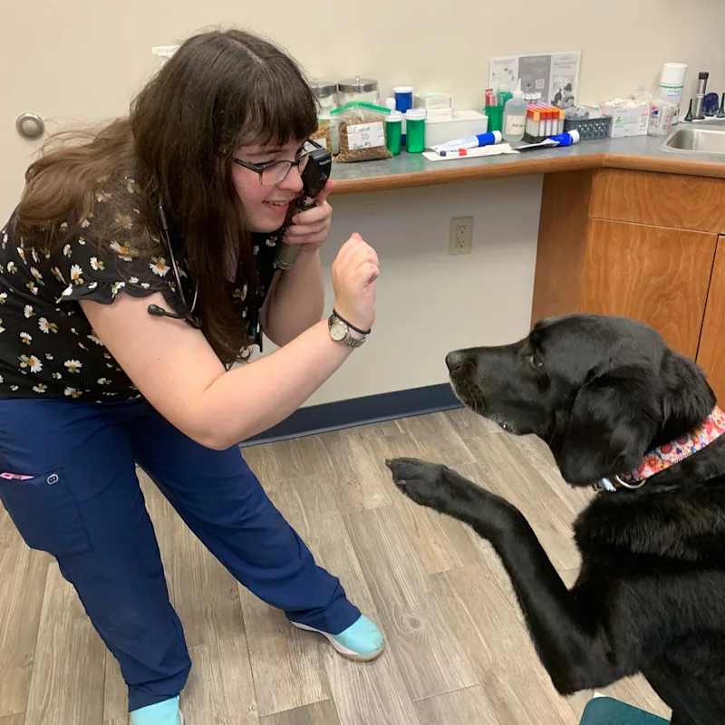 Dr. Sarah Ray Dr. Sarah Ray
