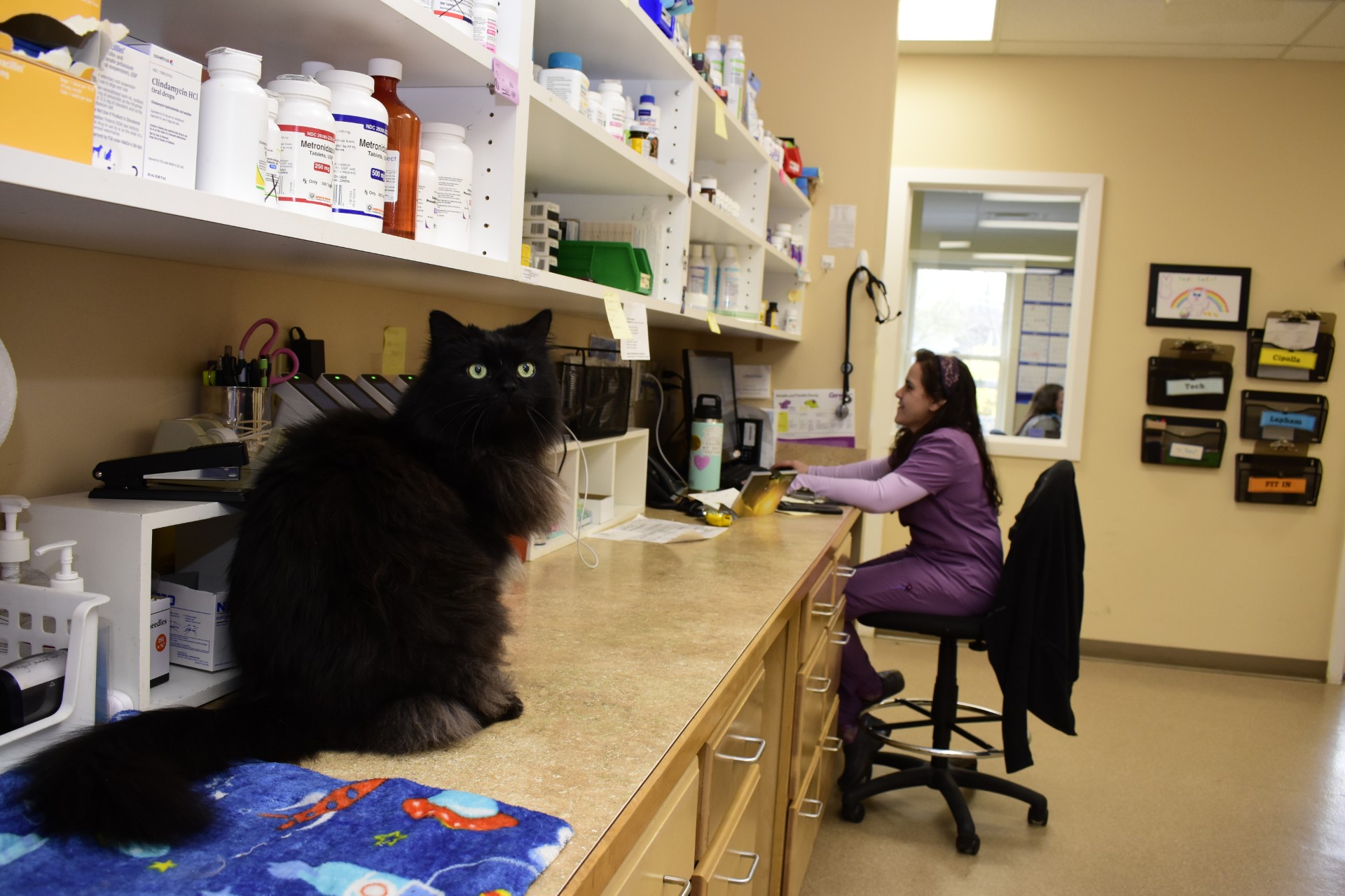 Slinky Pharmacy image
