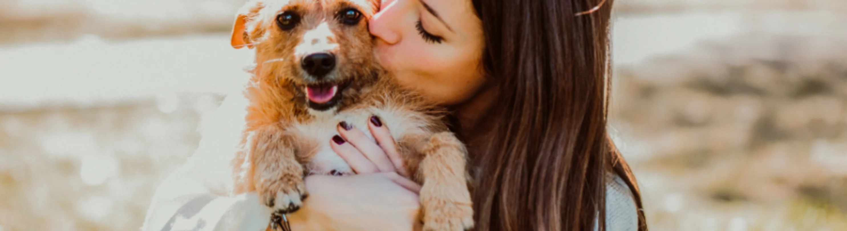 Girl Kissing Dog Girl Kissing Dog