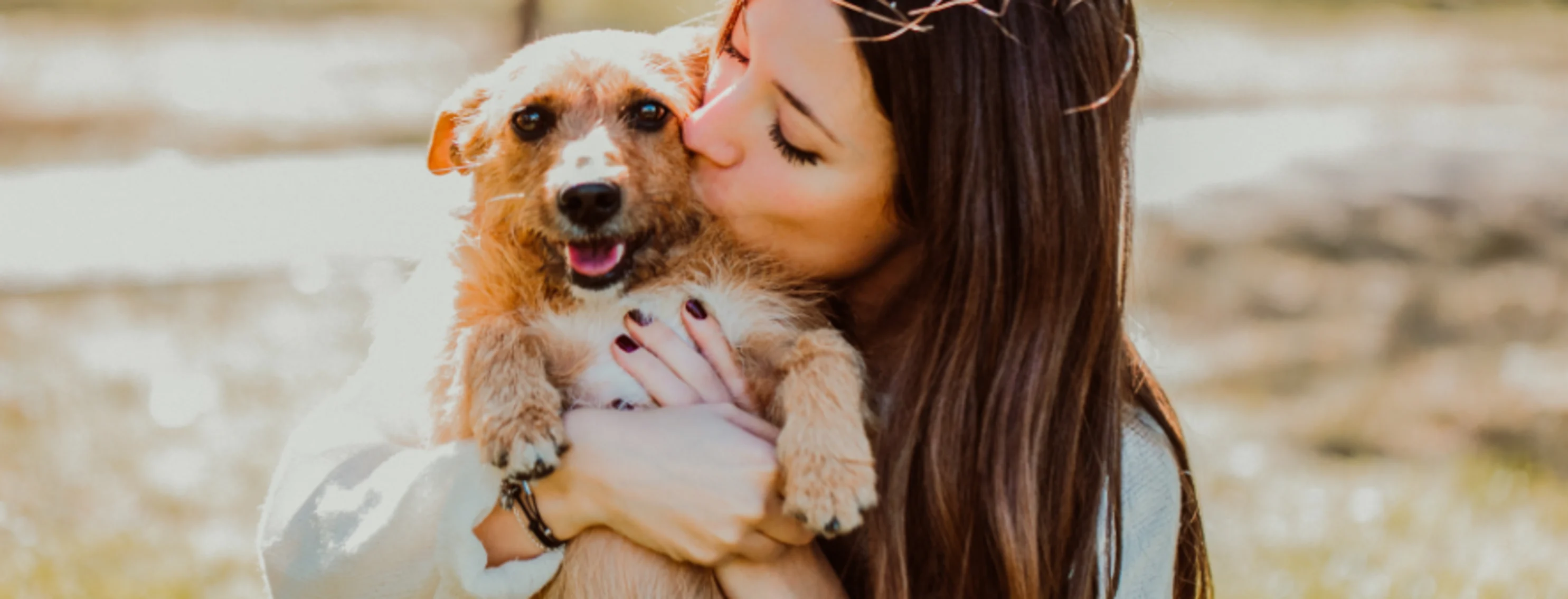 Girl Kissing Dog Girl Kissing Dog