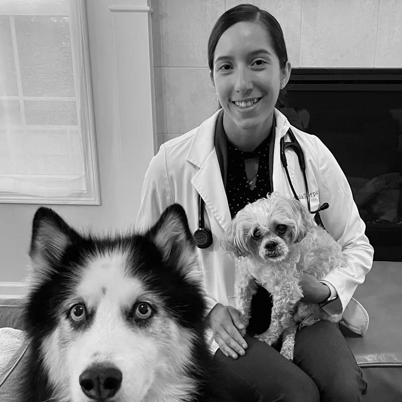 Cynthia Serpas holding small tabby kitten Cynthia Serpas holding small tabby kitten