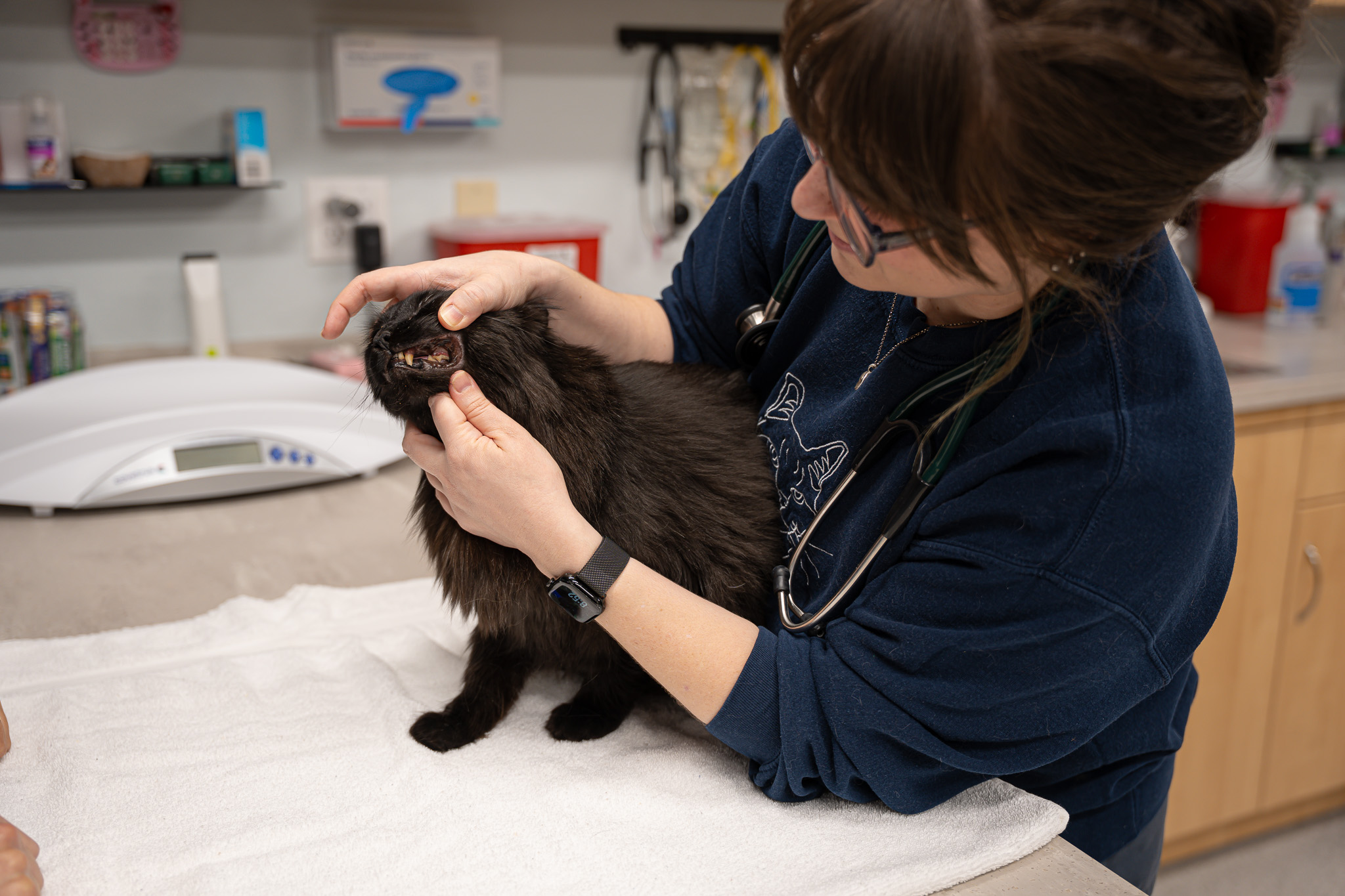 Dr. Kuperman and a black cat named Lennie