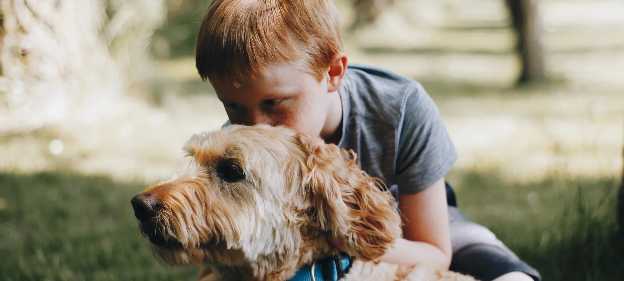 child with dog in grass child with dog in grass
