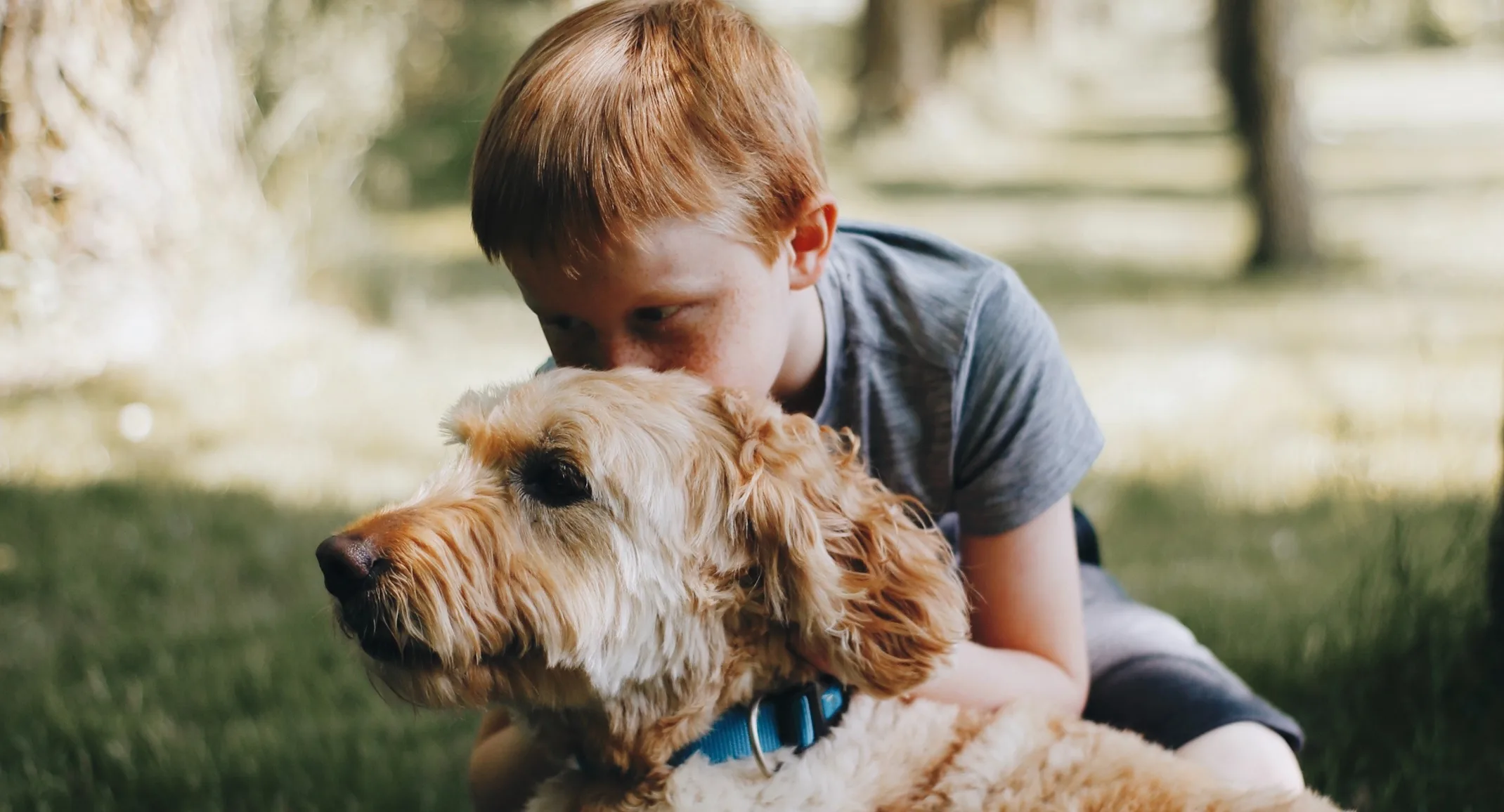 child with dog in grass child with dog in grass