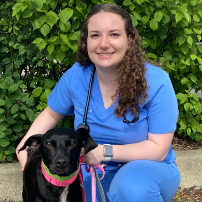 Dr. Allison Groch Dr. Allison Groch