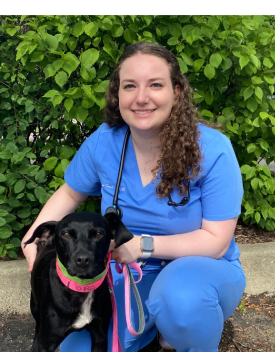 Dr. Allison Groch Dr. Allison Groch