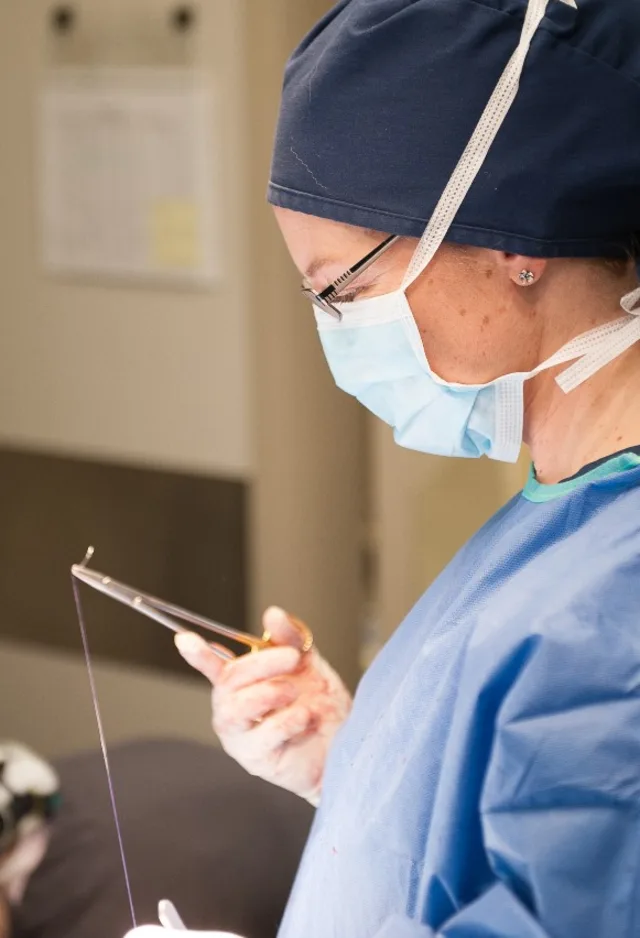 Surgery Stitching at Veterinary Emergency and Referral Hospital of West Toronto Surgery Stitching at Veterinary Emergency and Referral Hospital of West Toronto