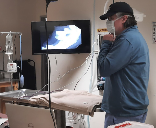 Veterinarian Looking at an X-Ray Image