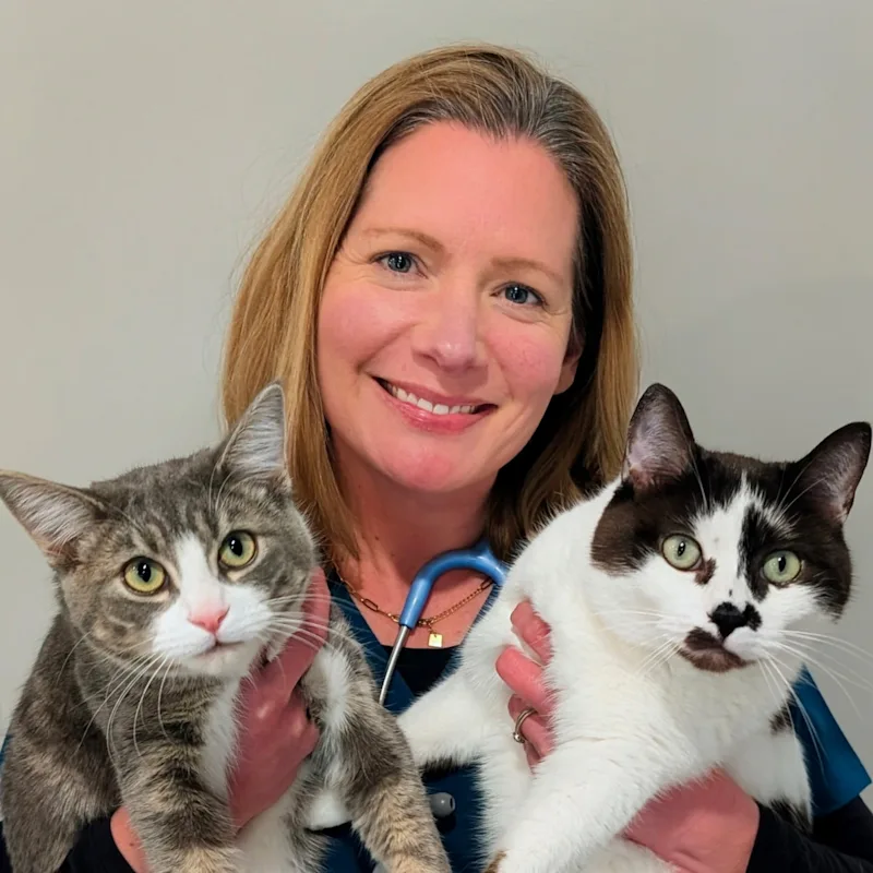 Dr Laura Campbell Dr Laura Campbell
