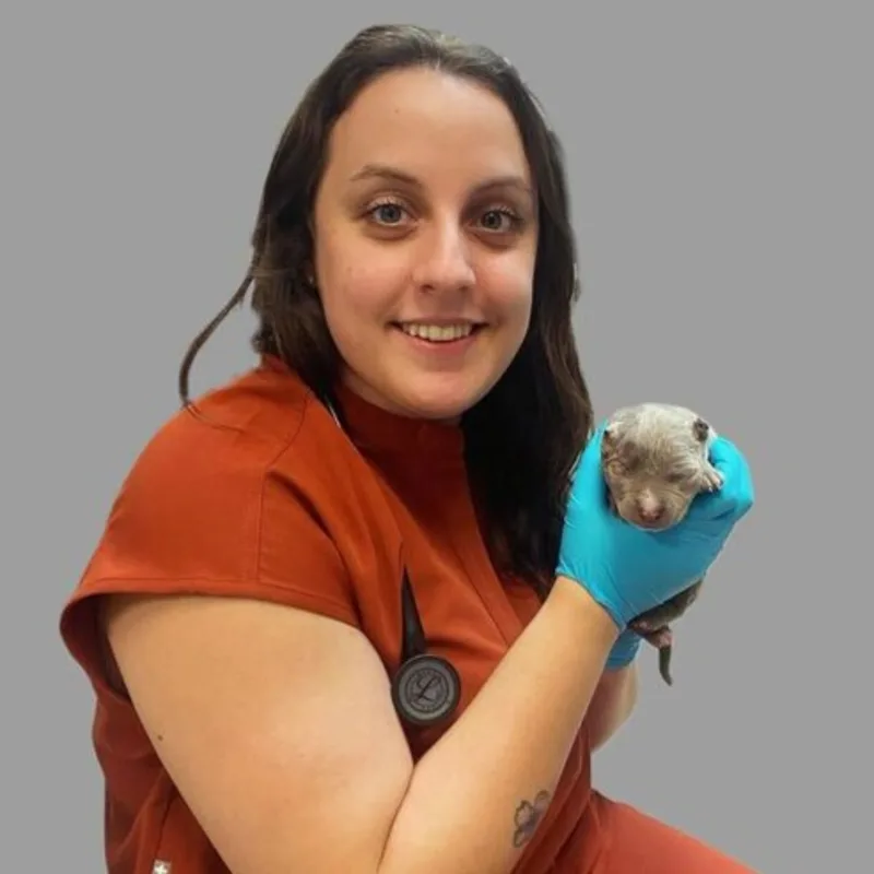 Dr. Andrea Sonichsen Dr. Andrea Sonichsen