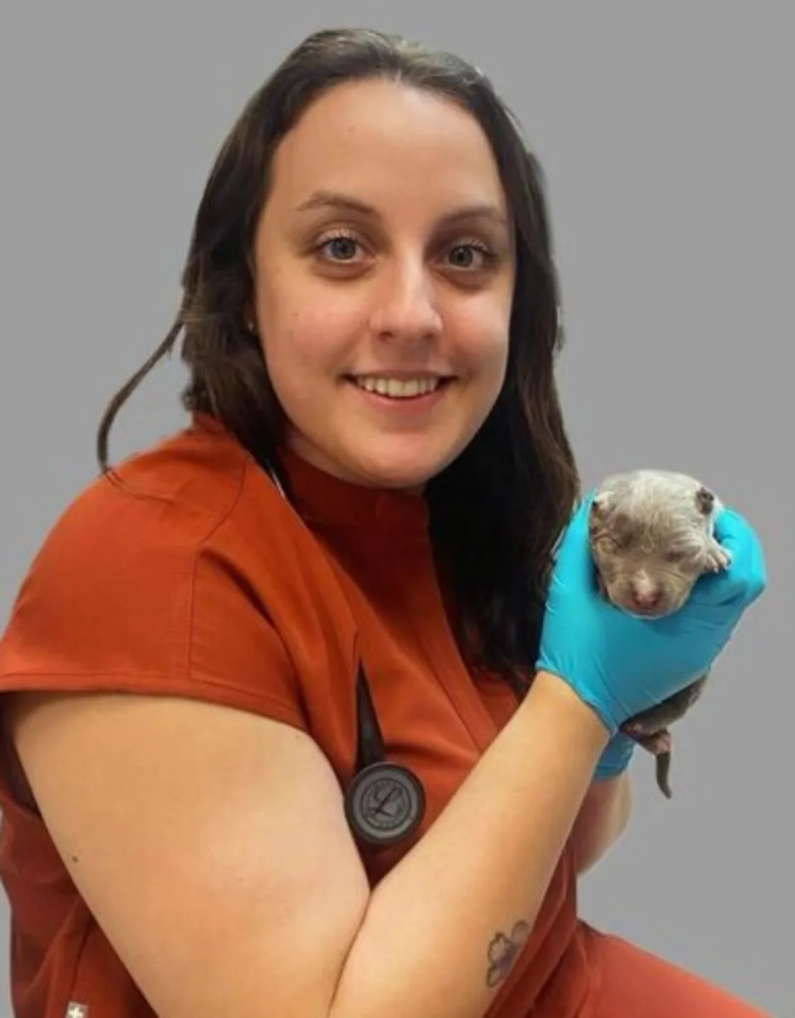 Dr. Andrea Sonichsen Dr. Andrea Sonichsen