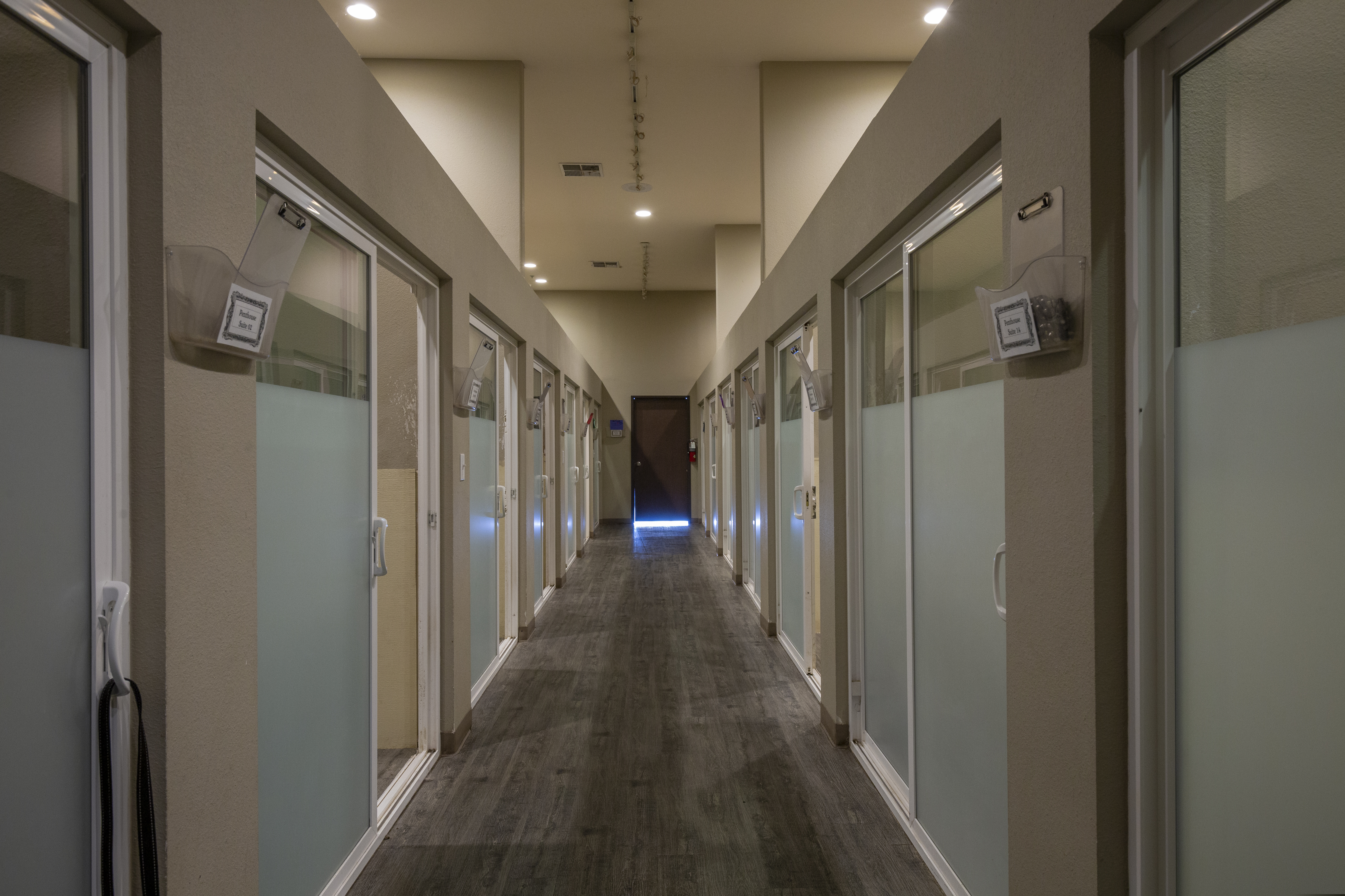 boarding doggie district