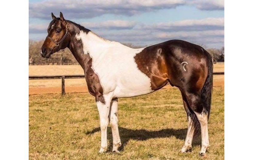 Taken It To The Limit