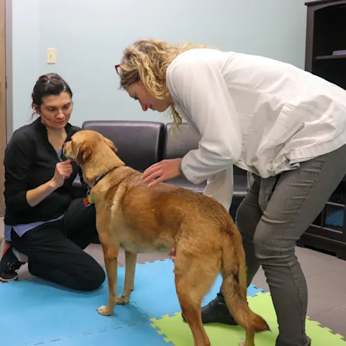 ED & KL Chiropractor ED & KL Chiropractor