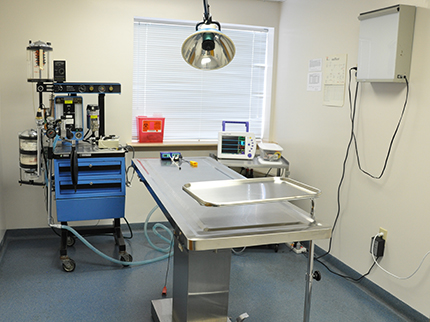 Surgery Room at Conrad Weiser Animal Hospital.