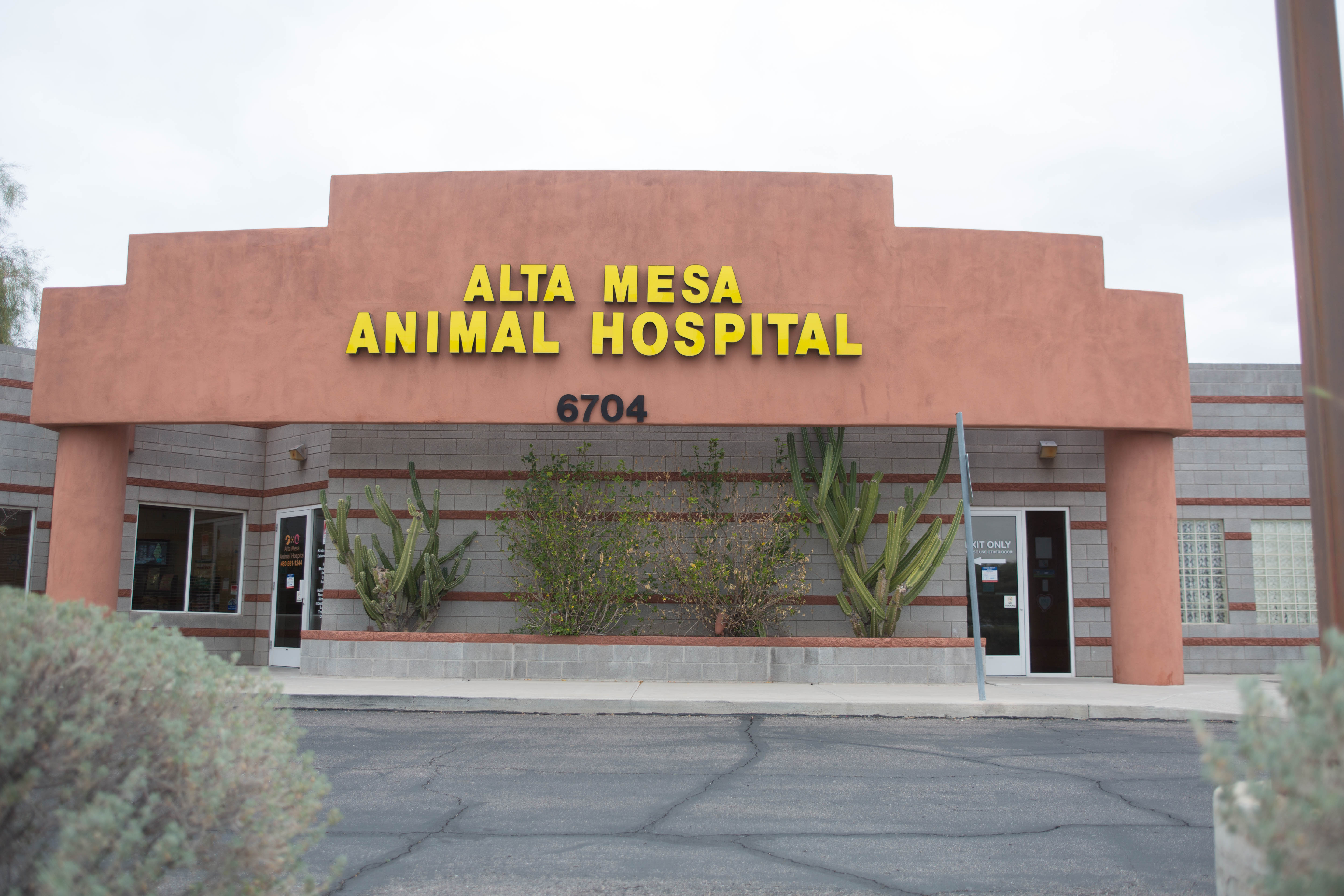 West mesa 2024 animal hospital