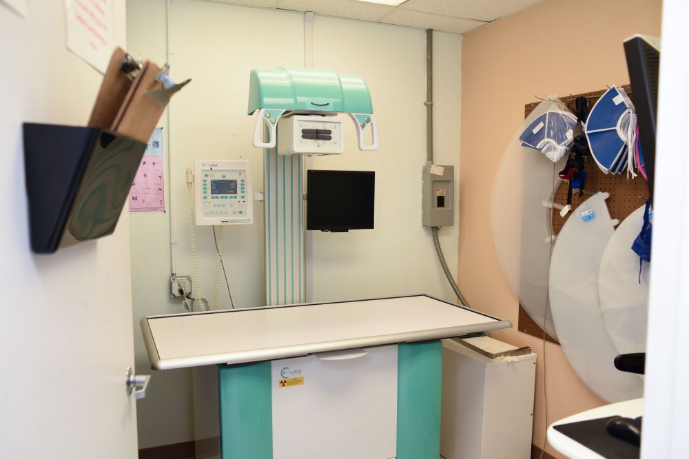 Radiology room with x ray at Best Friends Animal Hospital