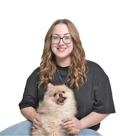 Ireland with a dog Ireland with a dog