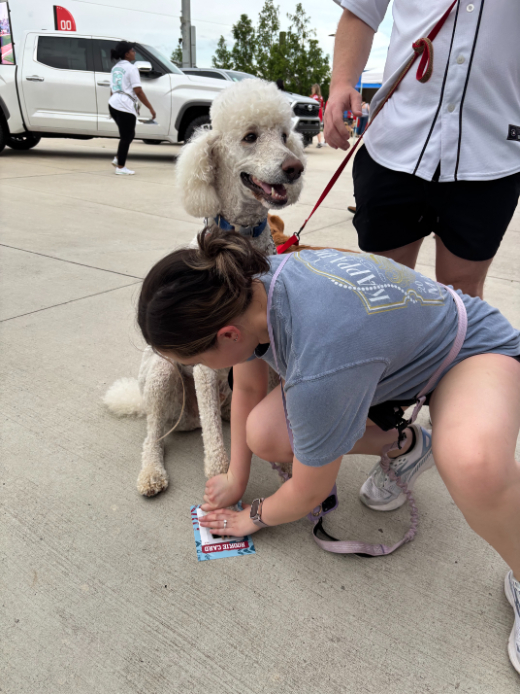Dog Days at Toyota Field with North Alabama Veterinary Emergency & Specialty