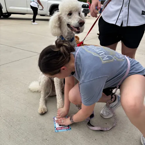 Dog Days at Toyota Field with North Alabama Veterinary Emergency & Specialty Dog Days at Toyota Field with North Alabama Veterinary Emergency & Specialty