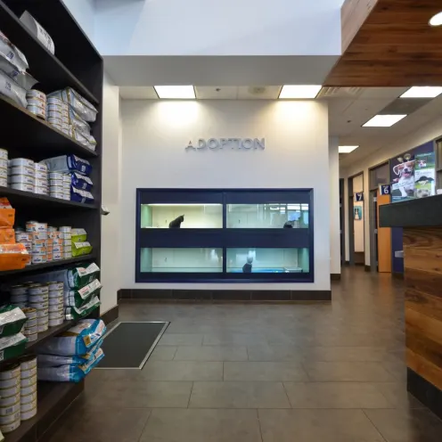 retail and adoption area at Countryside Veterinary Center
