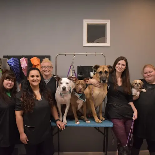 GROOMING STAFF GROOMING STAFF