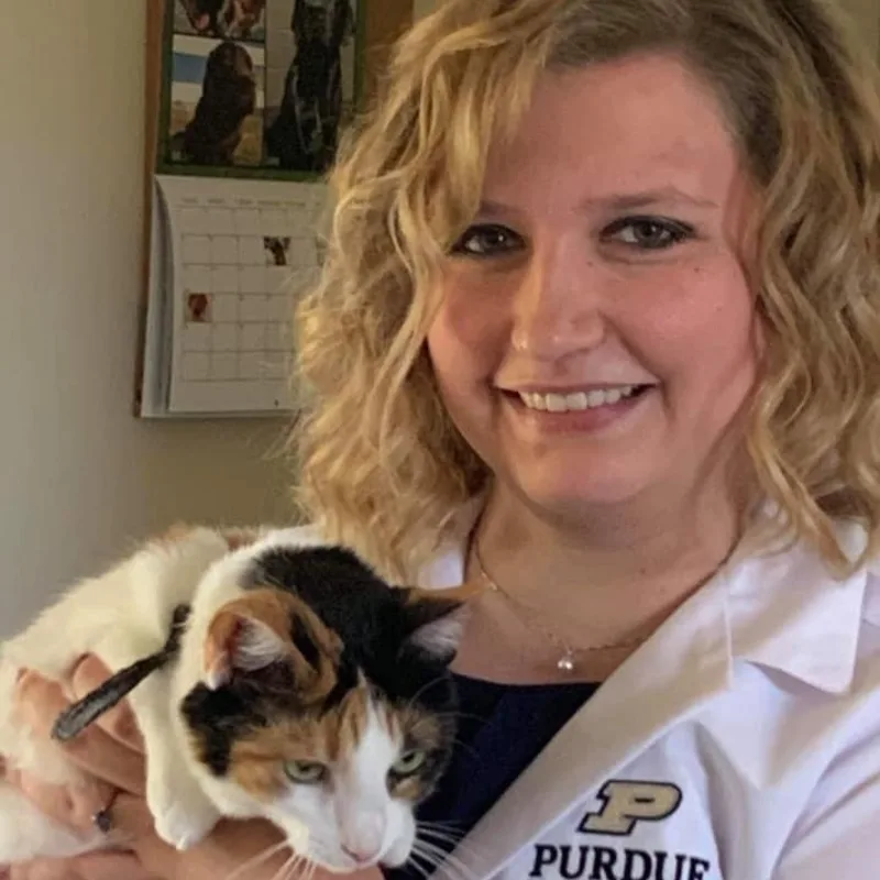 Dr. Tiffany Wineinger, DVM of Village East Animal Hospital Dr. Tiffany Wineinger, DVM of Village East Animal Hospital