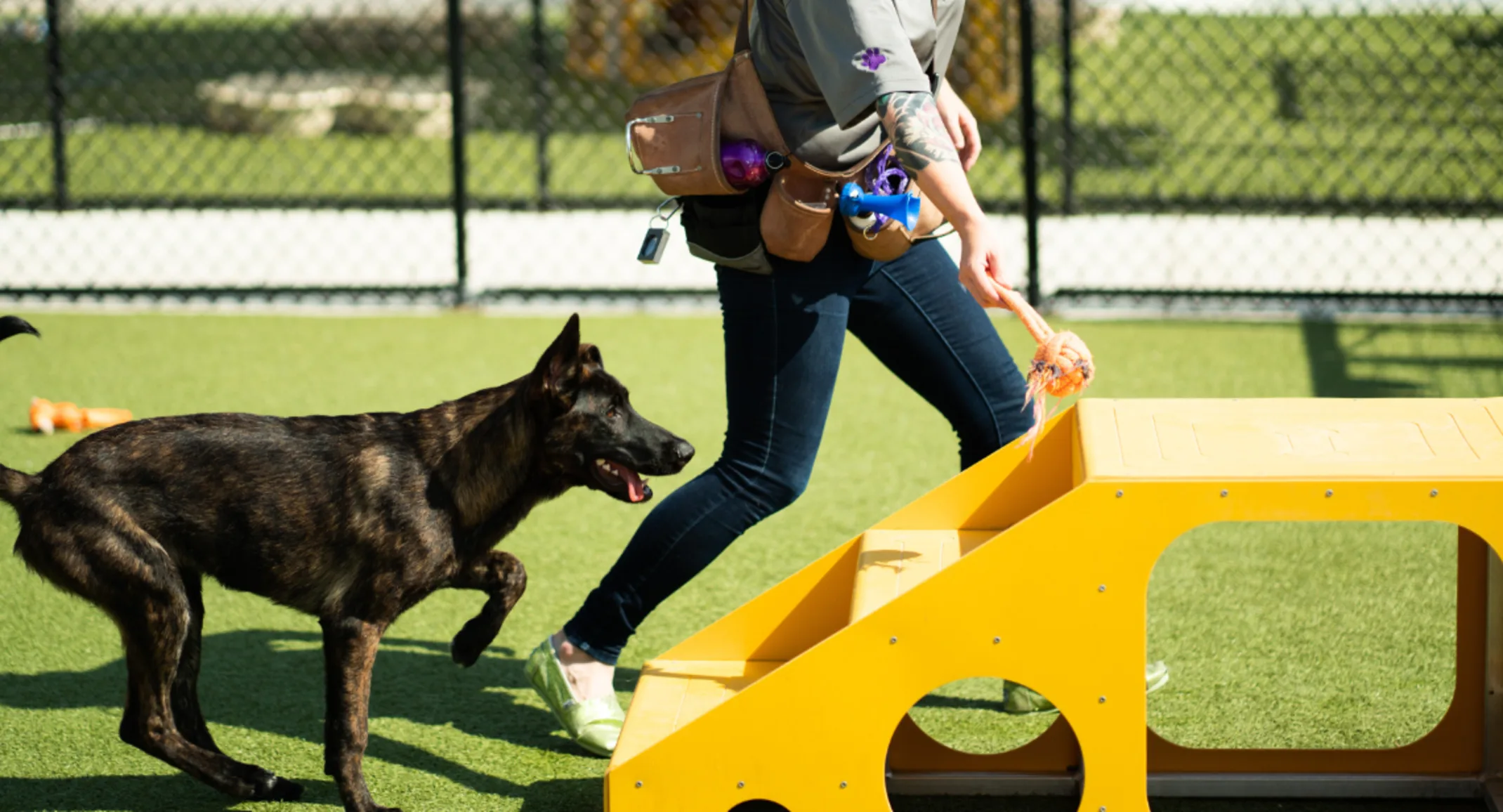 A dog enjoys play time with staff at PetSuites. A dog enjoys play time with staff at PetSuites.