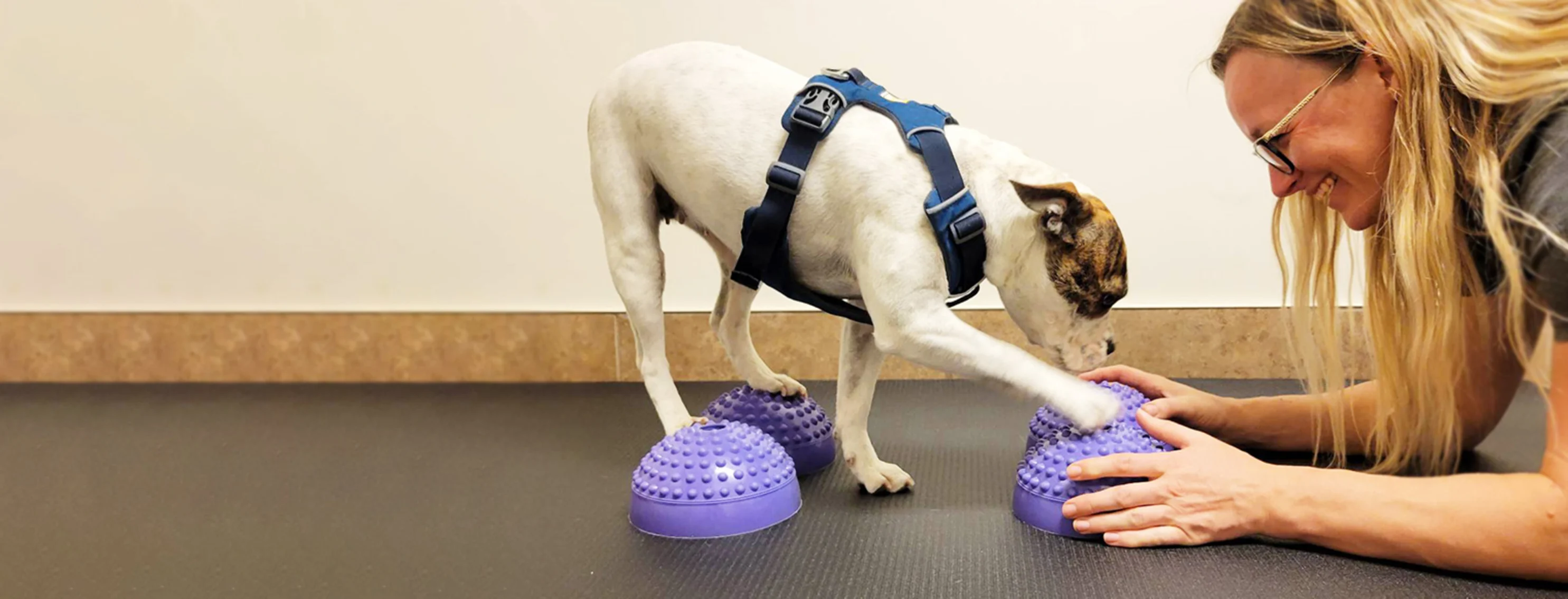 Therapist with white dog Therapist with white dog