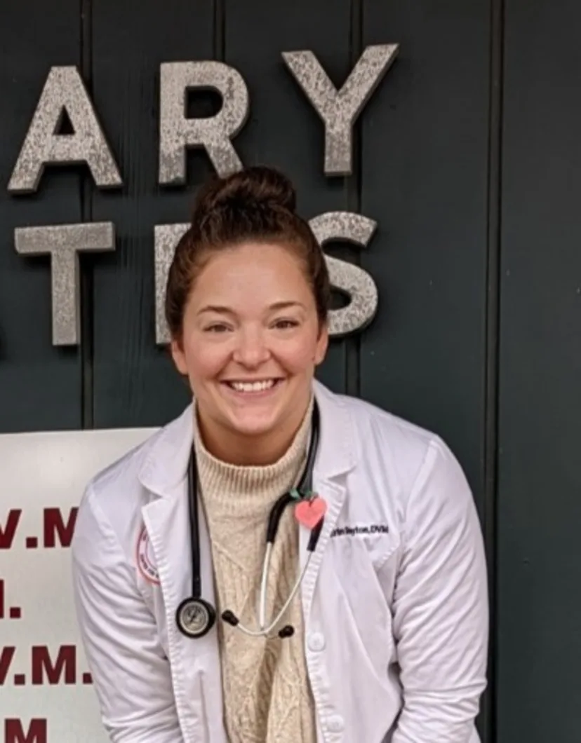 Dr Erin Stayton | Veterinary Associates