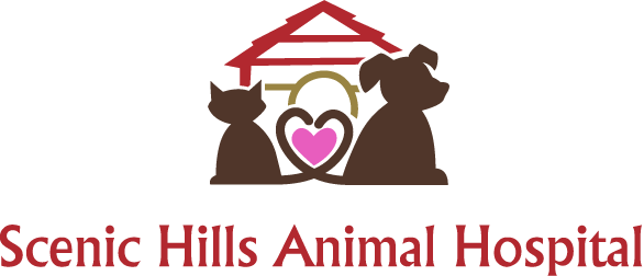 signal hill animal clinic